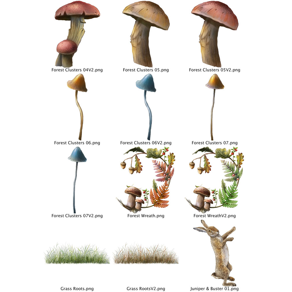 Two Red Robins Sycamore Wood Artwork Pack Download - Image 3