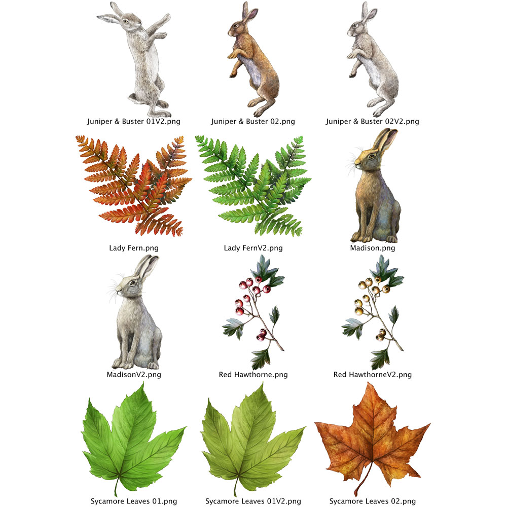Two Red Robins Sycamore Wood Artwork Pack Download - Image 4