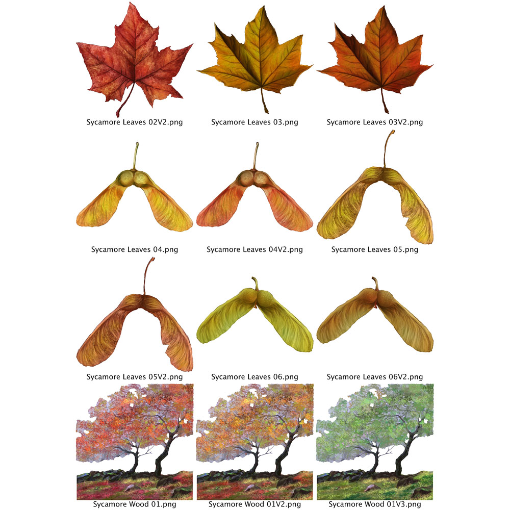 Two Red Robins Sycamore Wood Artwork Pack Download - Image 5