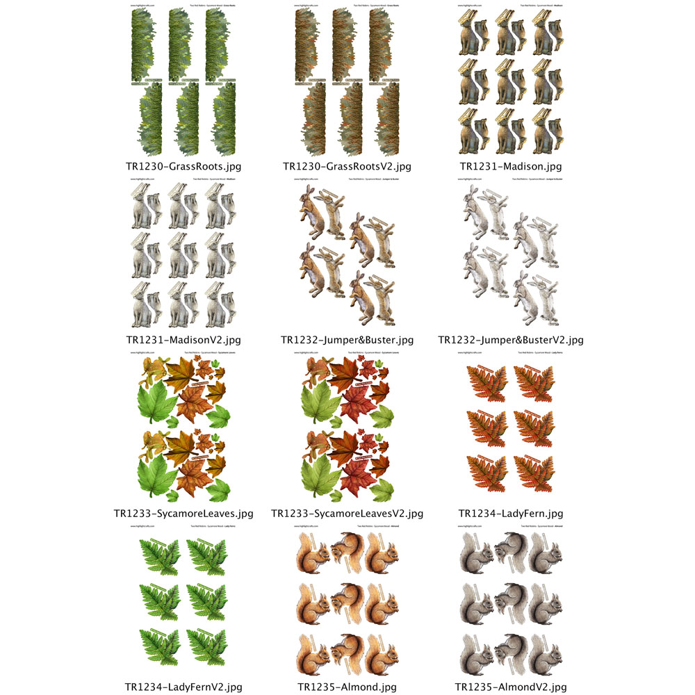 Two Red Robins Sycamore Wood Artwork Pack Download - Image 8