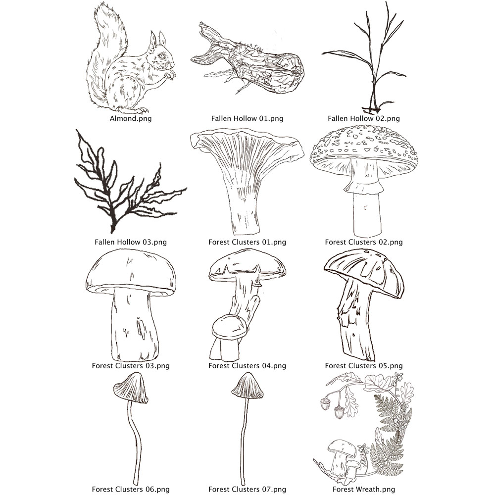 Two Red Robins Sycamore Wood Artwork Pack Download - Image 10