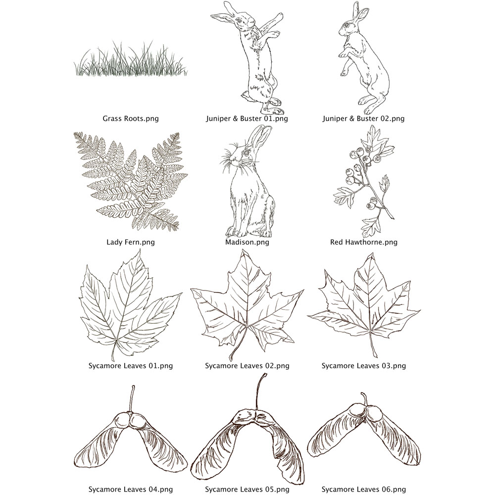 Two Red Robins Sycamore Wood Artwork Pack Download - Image 11