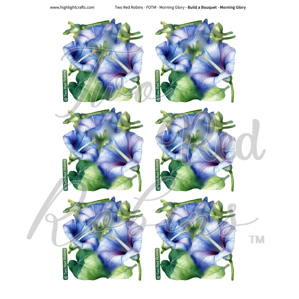 Two Red Robins Build a Bouquet Morning Glory Reflections Download 1