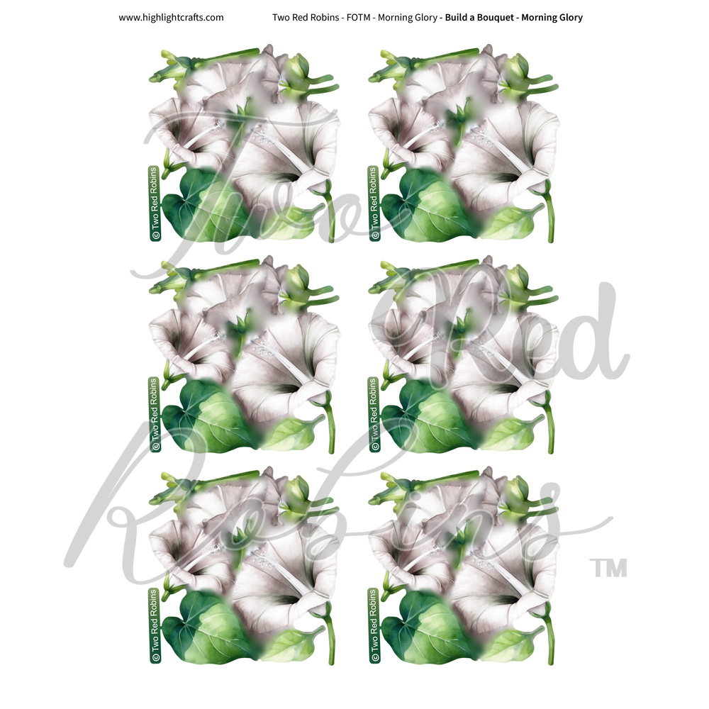 Two Red Robins Build a Bouquet Morning Glory Reflections Download 8