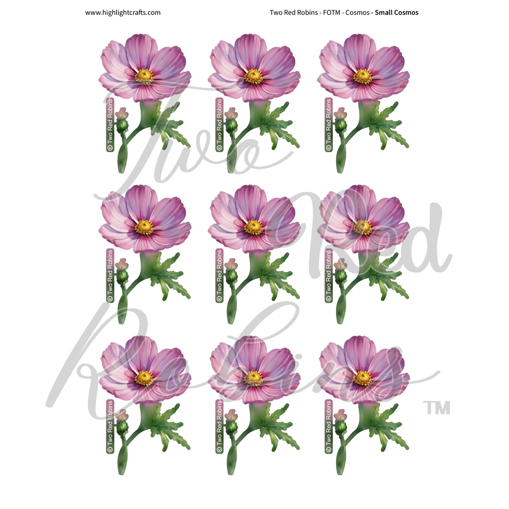 Two Red Robins Small Cosmos Reflections Download 1
