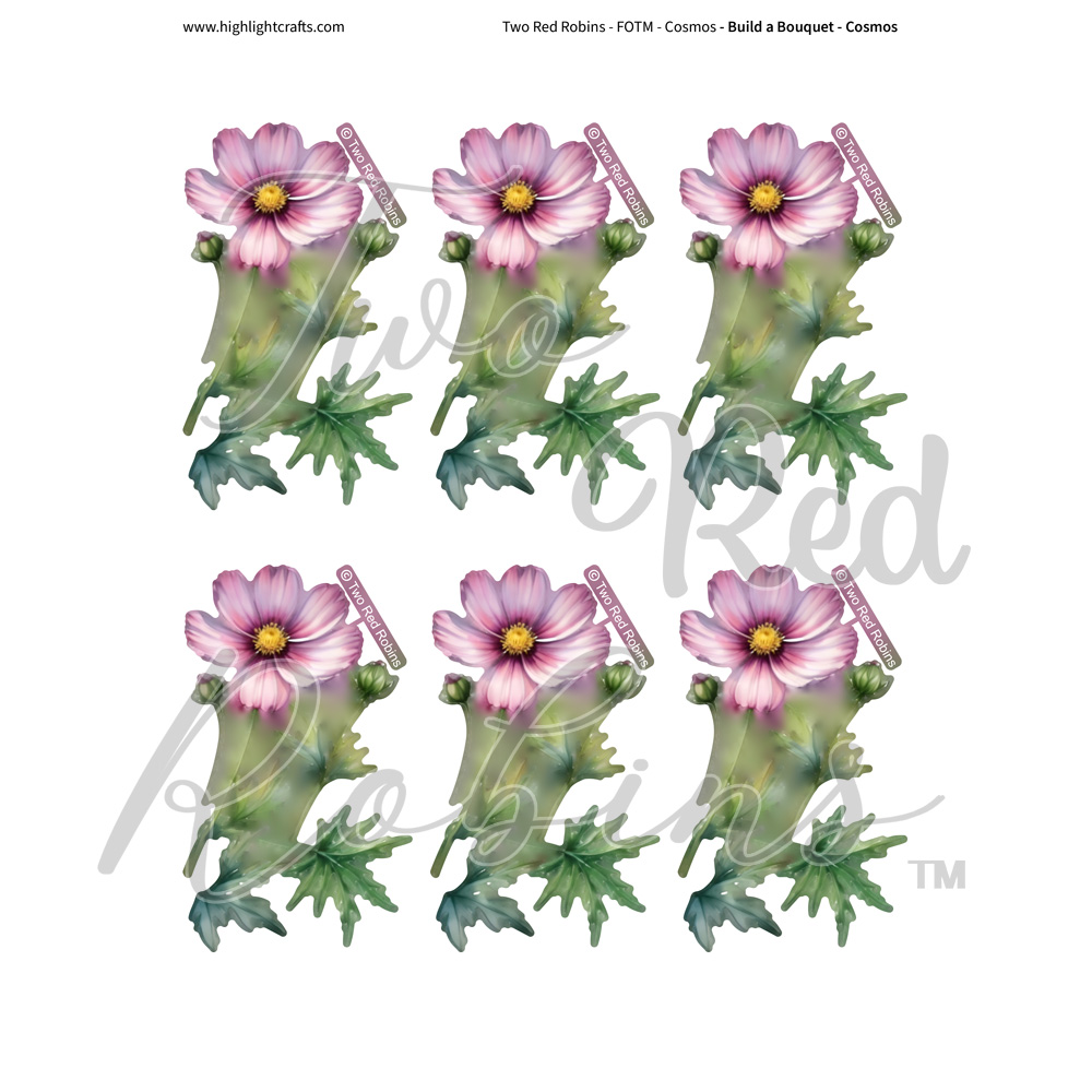 Two Red Robins Build a Bouquet Cosmos Reflections Download 1