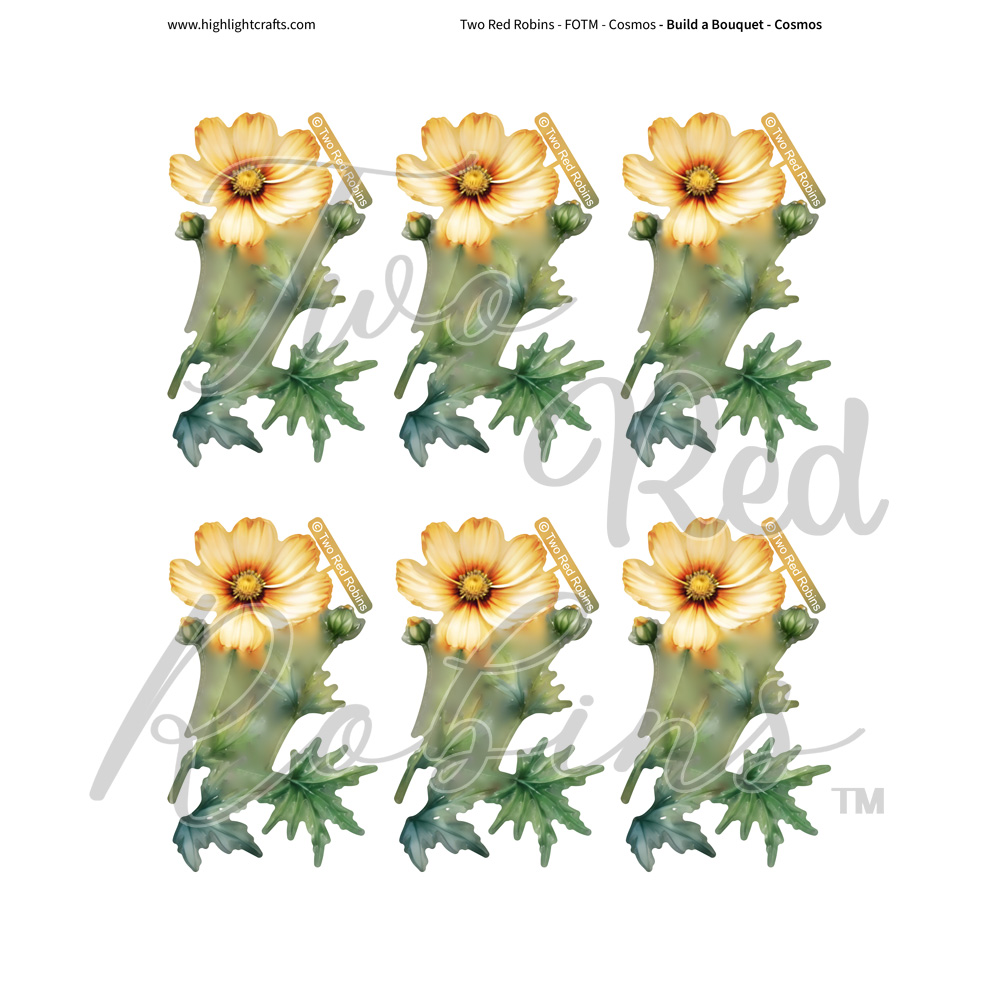 Two Red Robins Build a Bouquet Cosmos Reflections Download 4