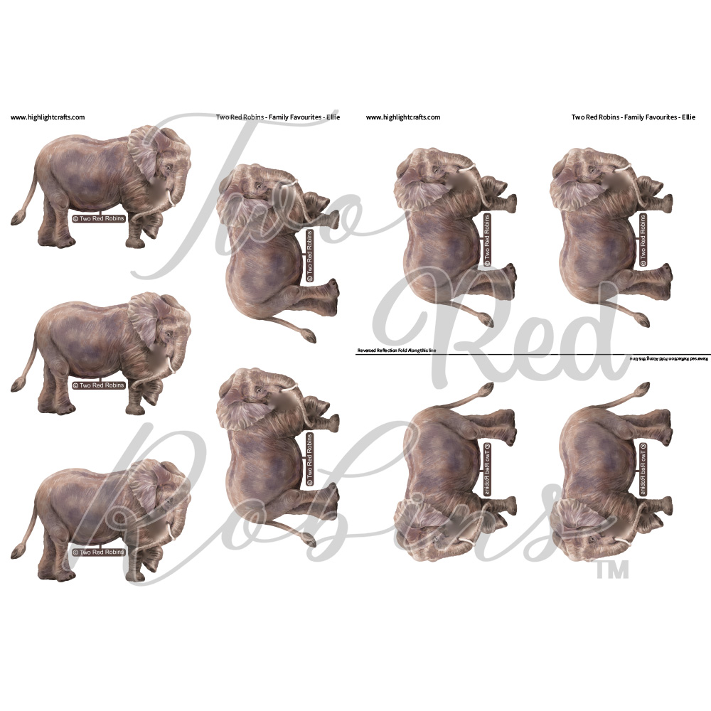 Two Red Robins Ellie Reflections & Reversed Reflections Download
