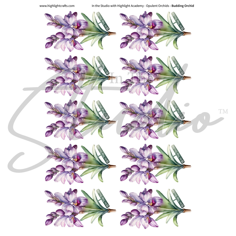 In The Studio Budding Orchid Reflections Download 1