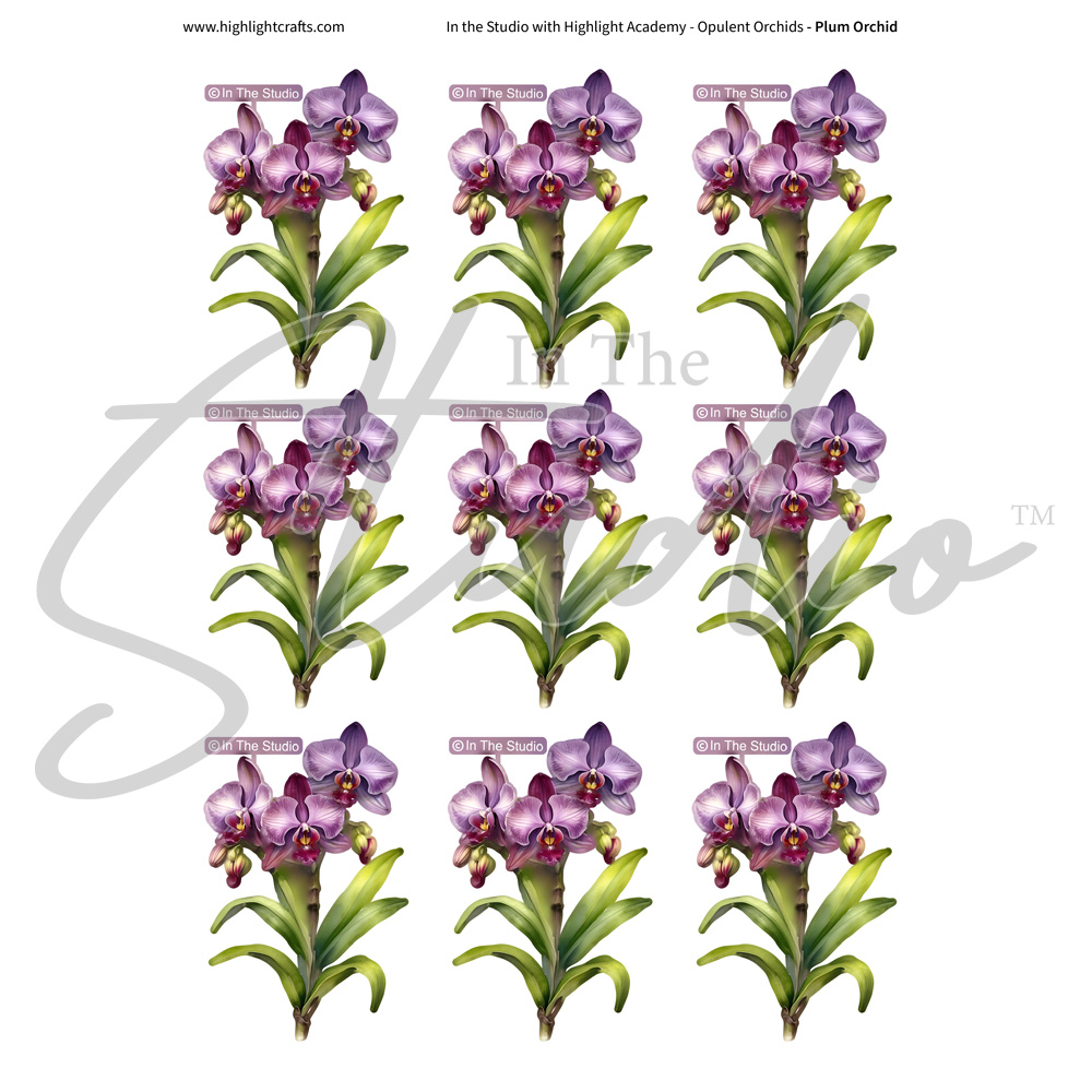 In The Studio Plum Orchid Reflections Download 1