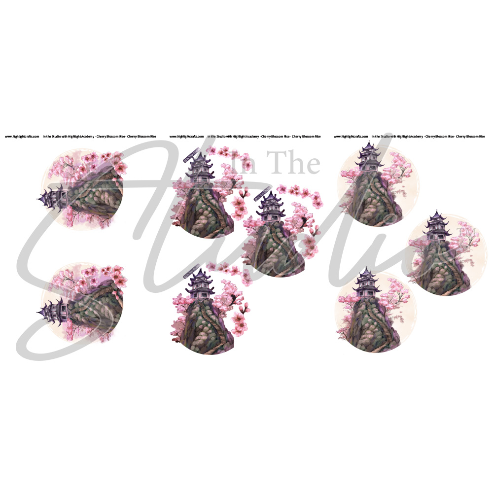 In The Studio Cherry Blossom Rise Reflections Download