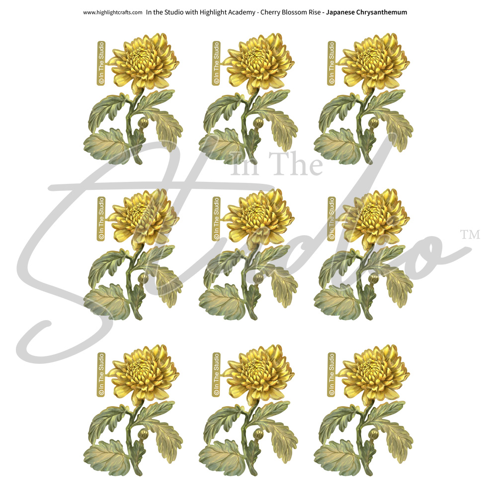 In The Studio Japanese Chrysanthemum Reflections Download 1