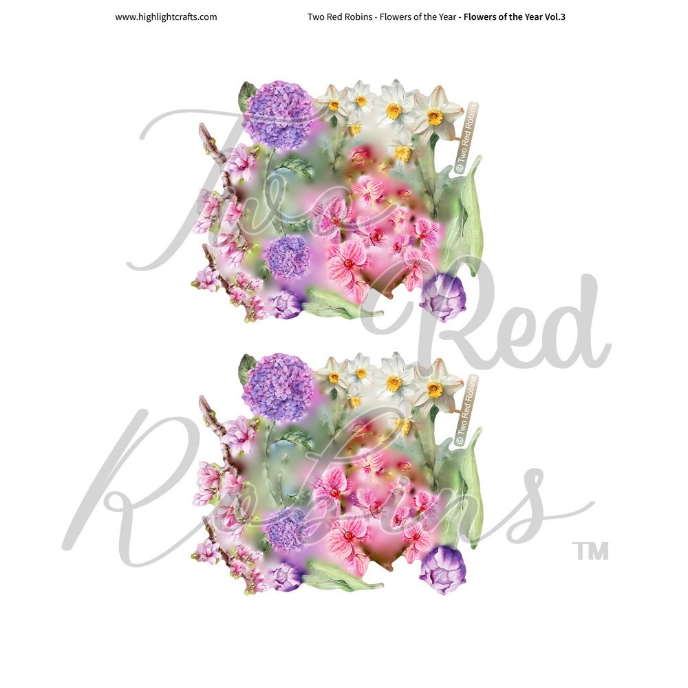 Two Red Robins Flowers of the Year Vol 3 Reflections Download 1