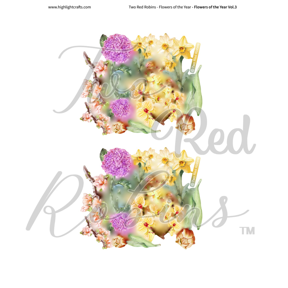 Two Red Robins Flowers of the Year Vol 3 Reflections Download 4