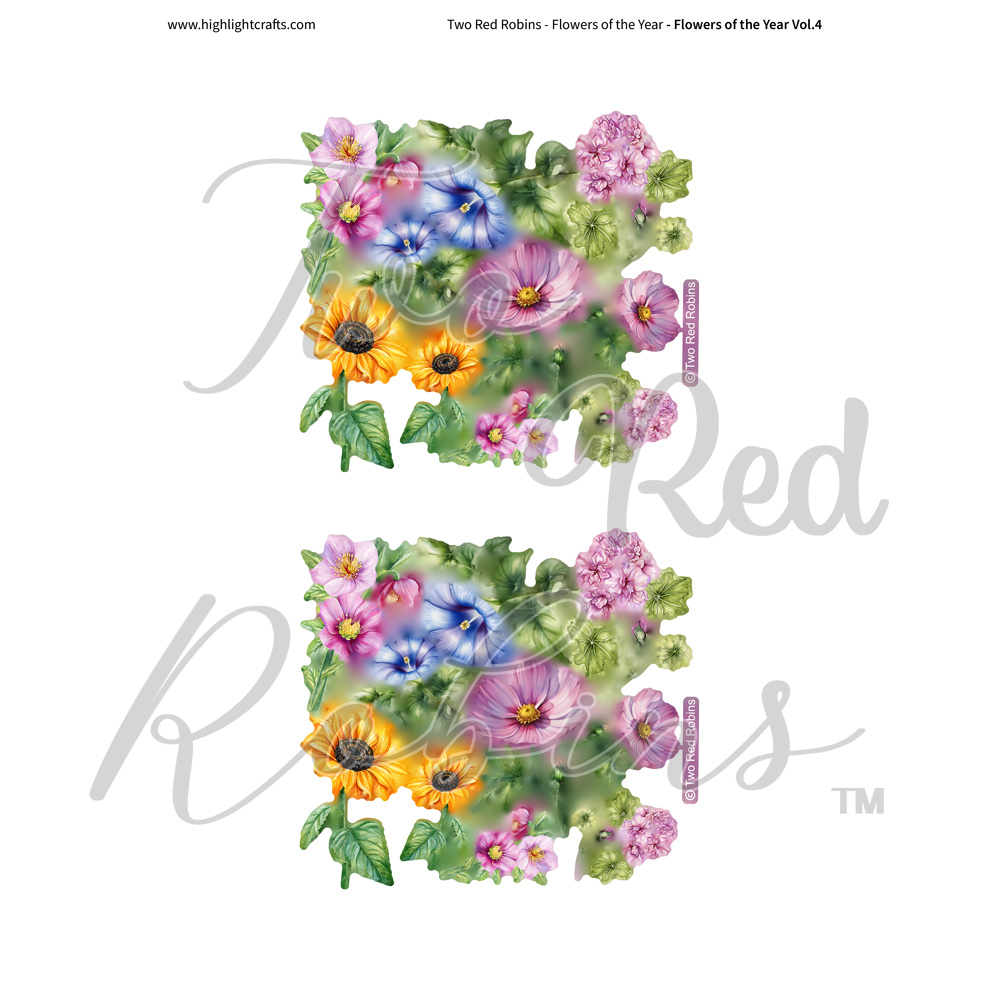 Two Red Robins Flowers of the Year Vol 4 Reflections Download 1