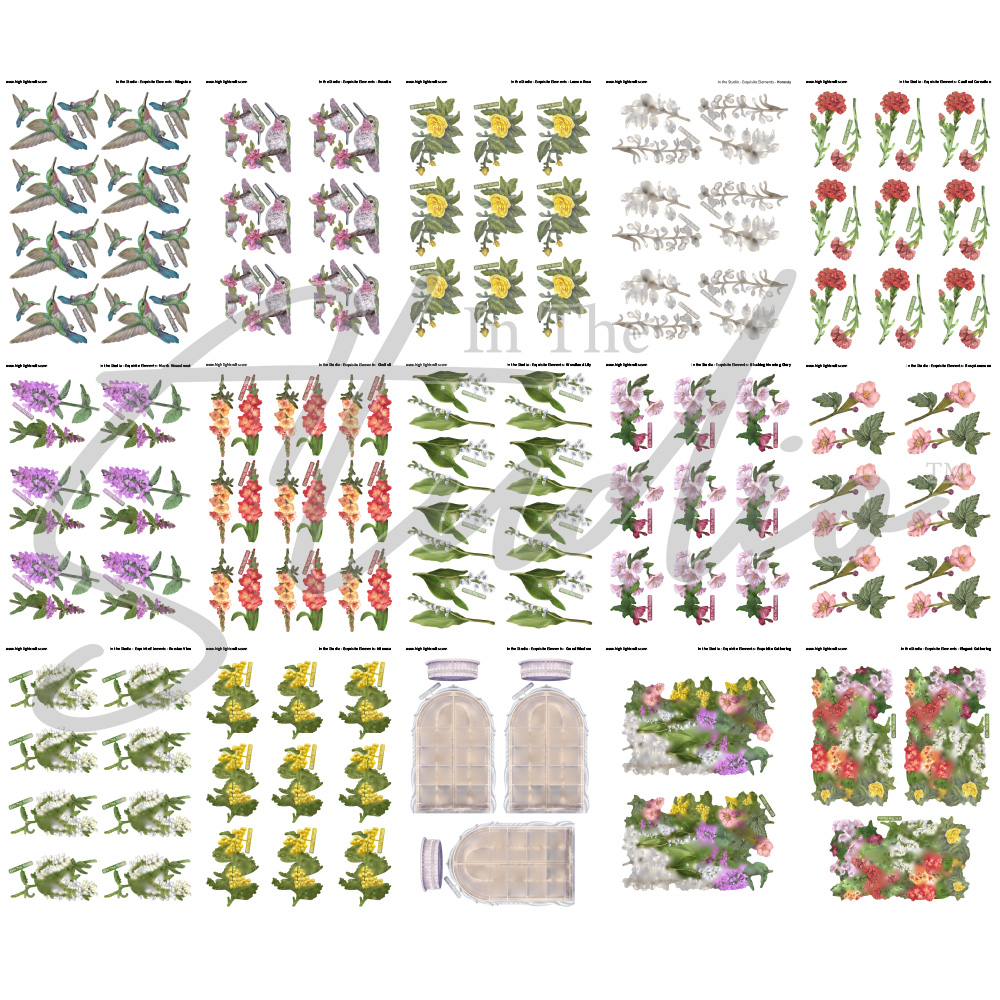 In The Studio Exquisite Elements Reflections Download Bundle