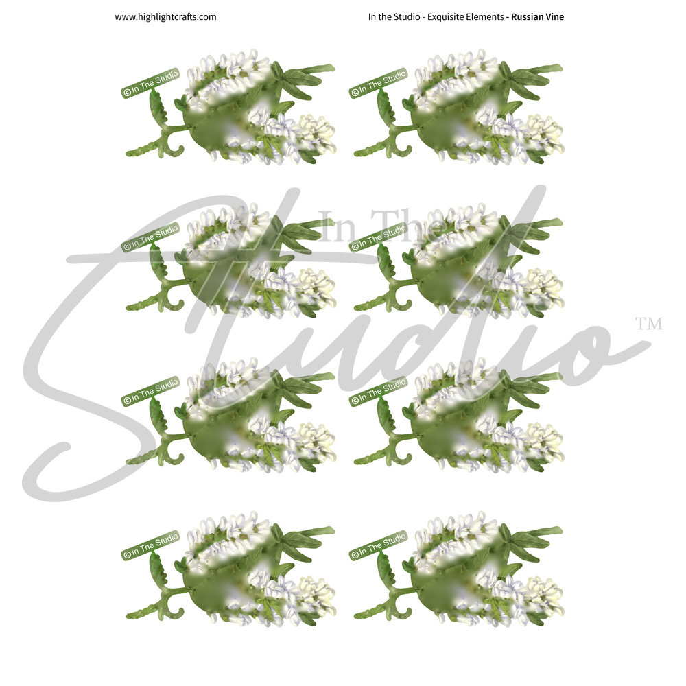 In The Studio Russian Vine Reflections Download