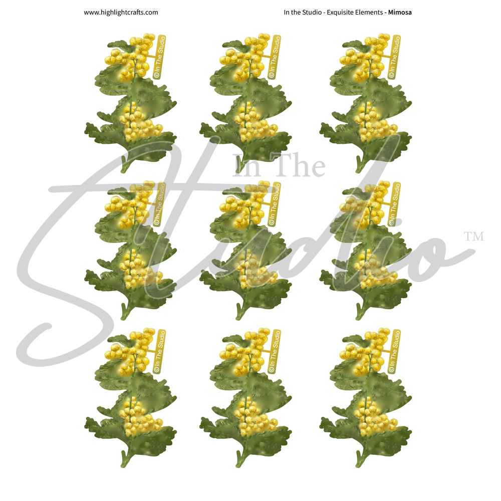 In The Studio Mimosa Reflections Download