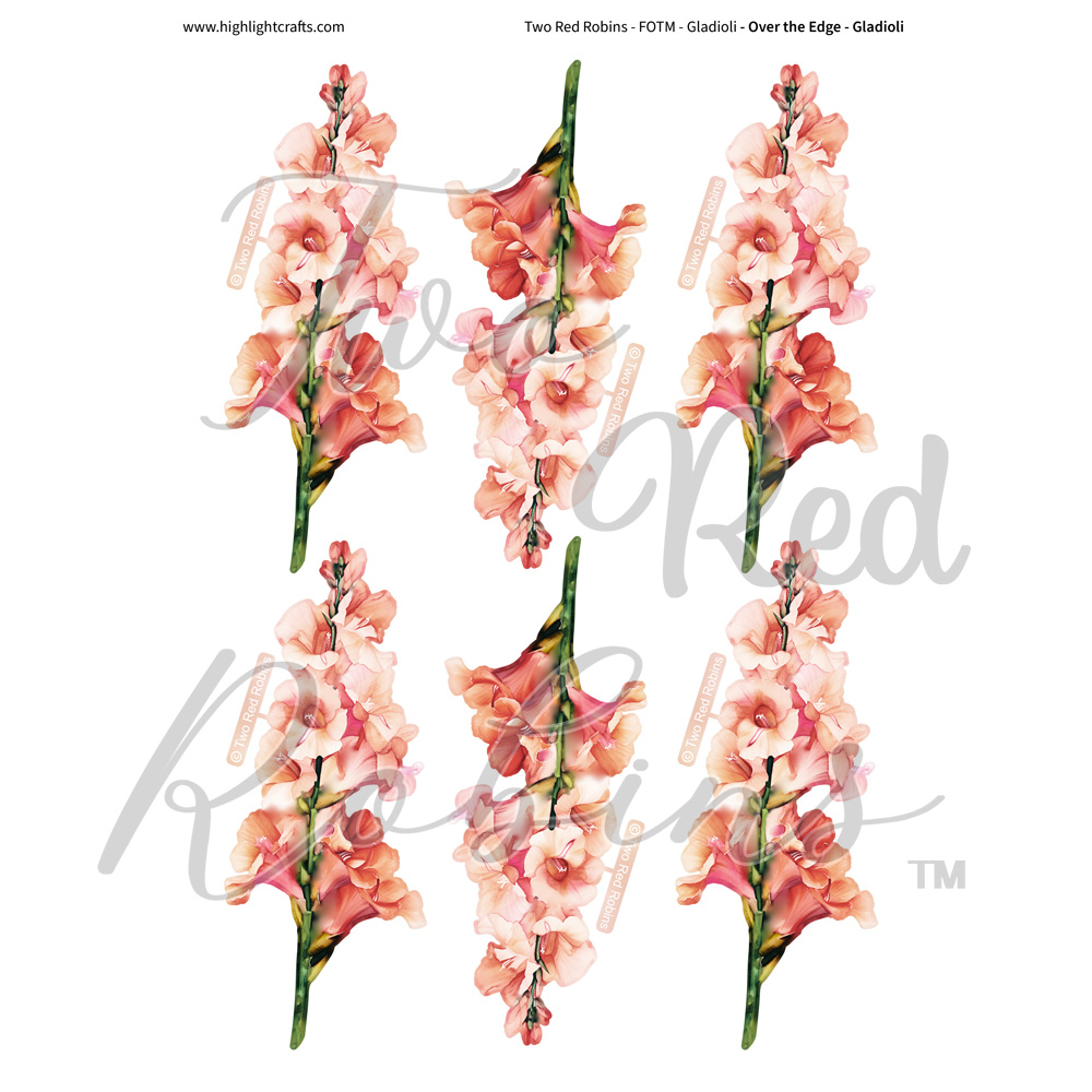 Two Red Robins Over the Edge Gladioli Reflections Download 4