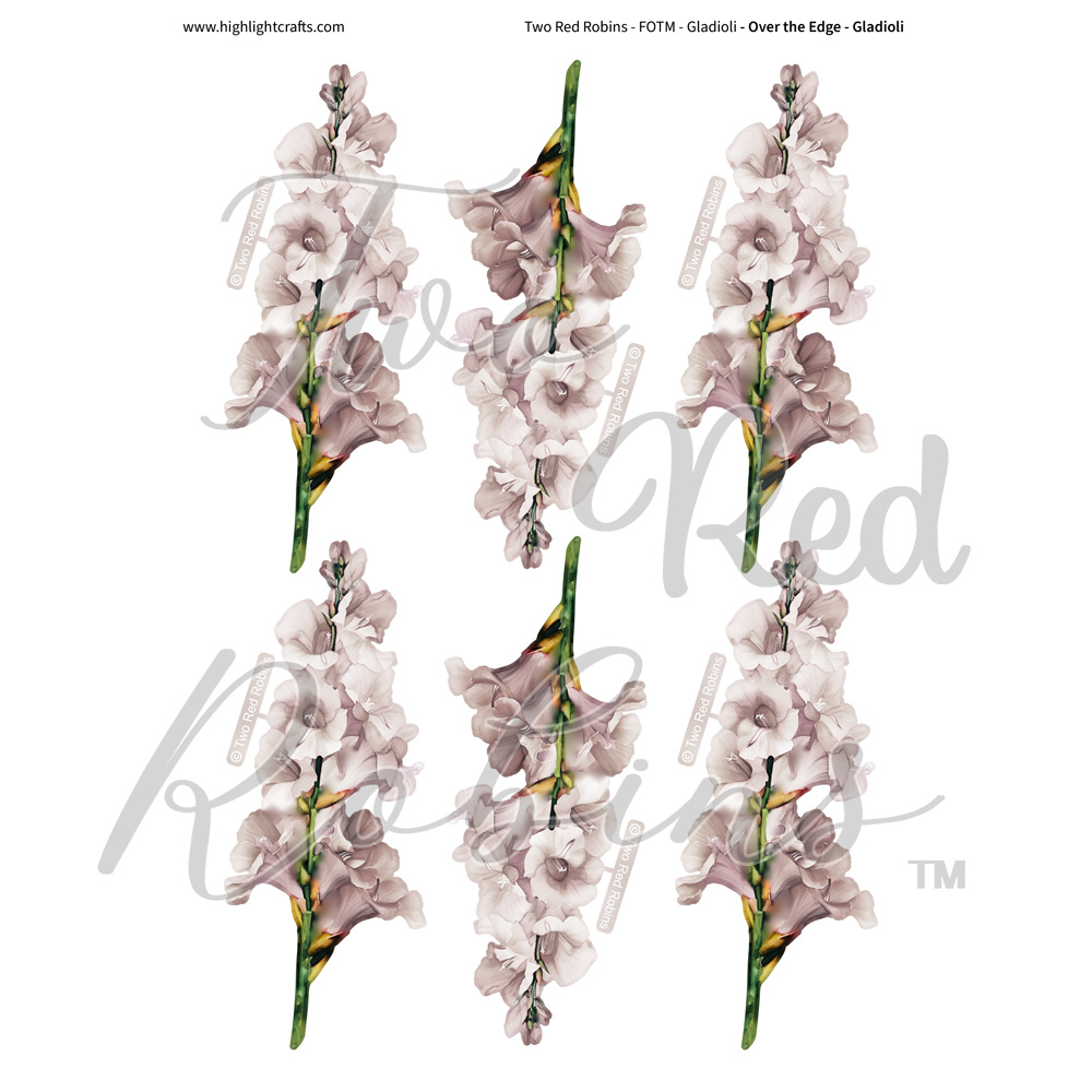 Two Red Robins Over the Edge Gladioli Reflections Download 7