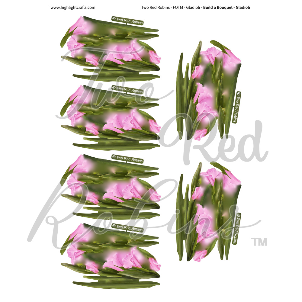 Two Red Robins Build a Bouquet Gladioli Reflections Download 5