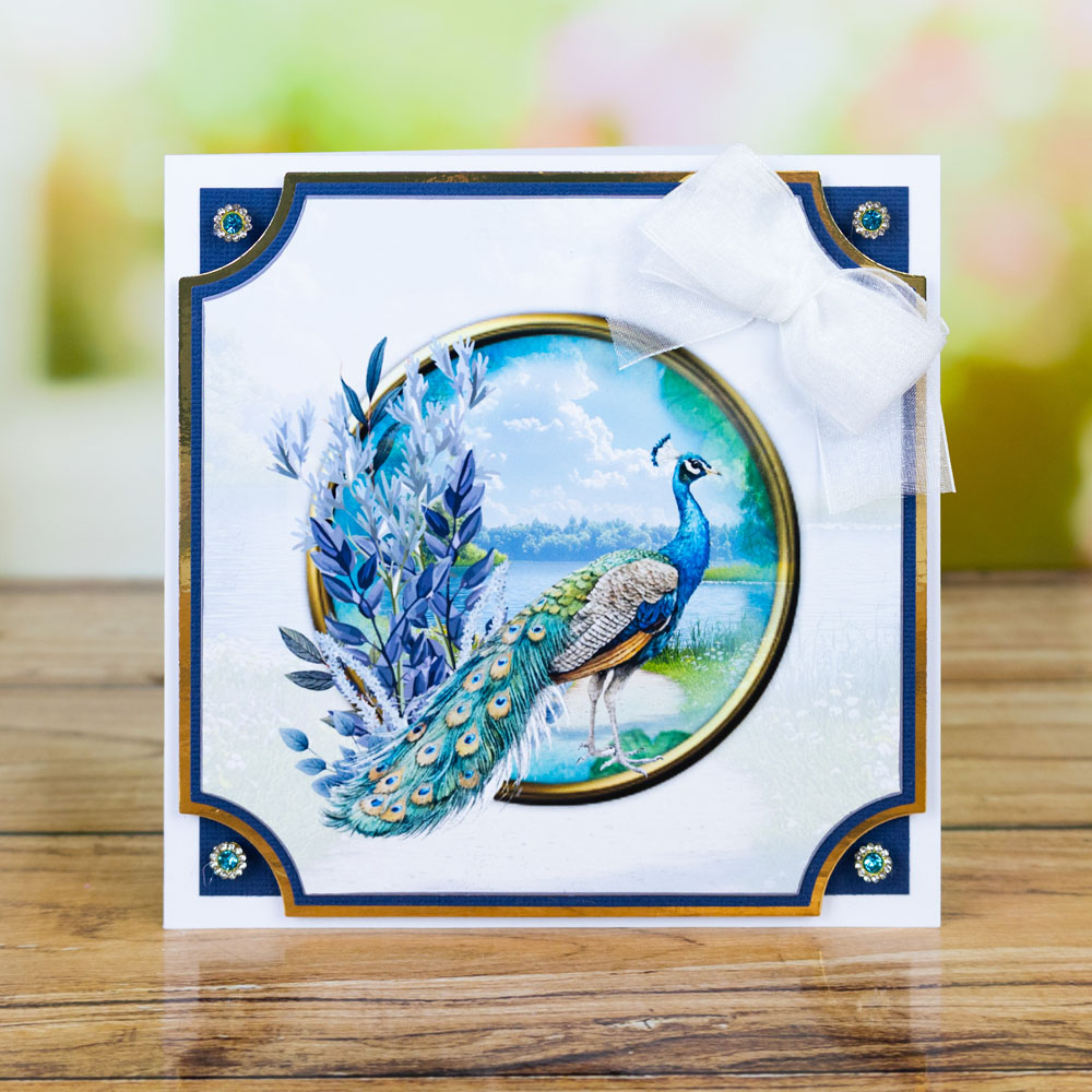 My Craft Studio Four Seasons Artwork Download - Image 10