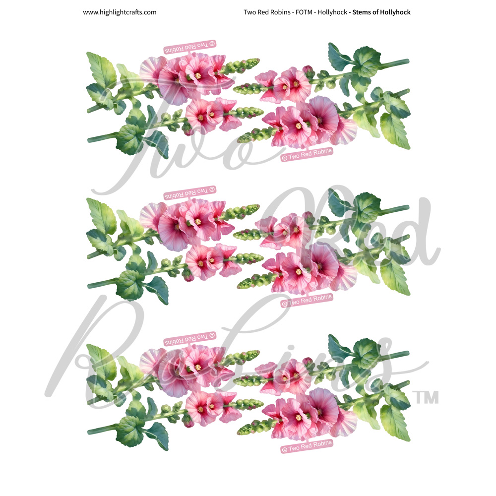 Two Red Robins Stems of Hollyhock Reflections Download 1