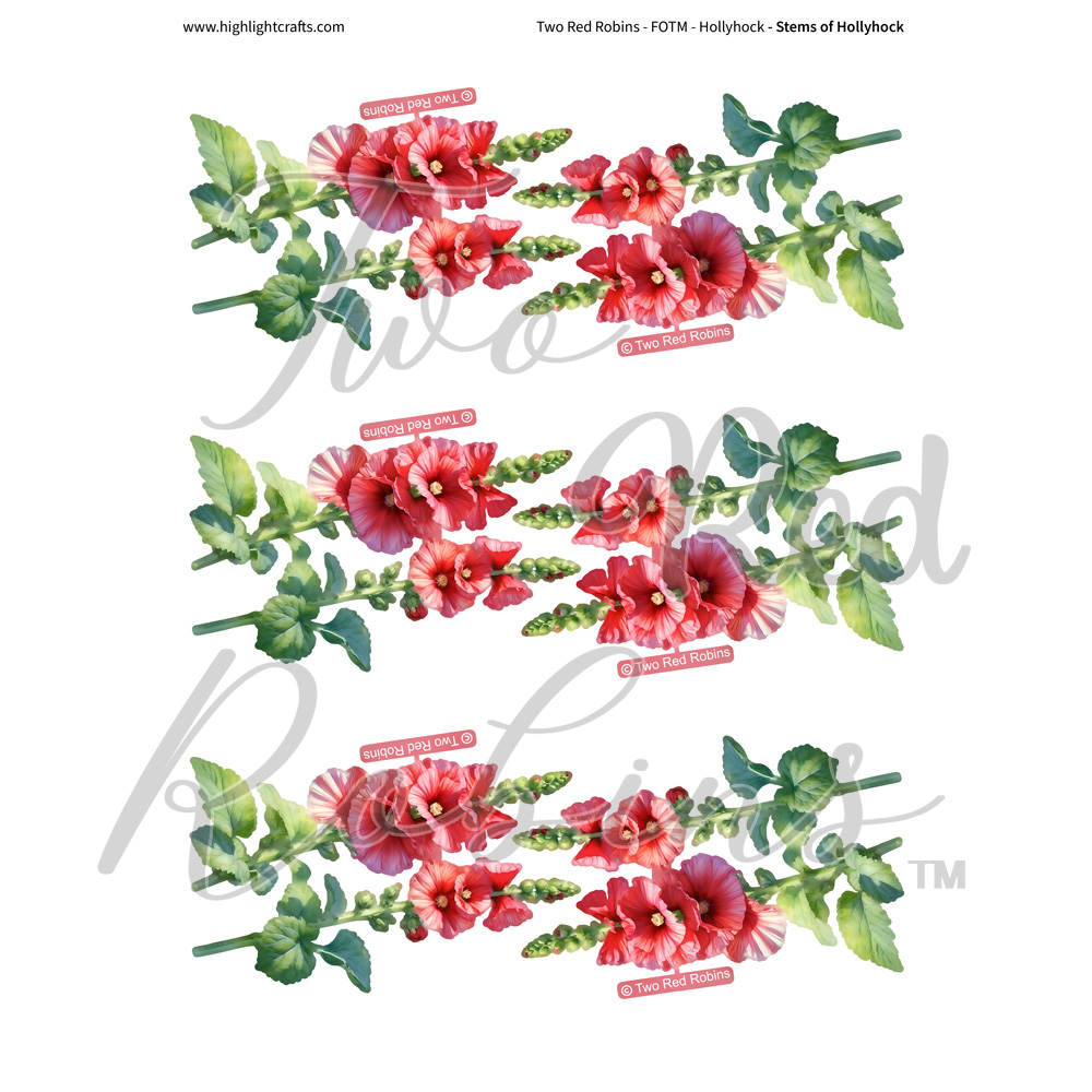 Two Red Robins Stems of Hollyhock Reflections Download 4