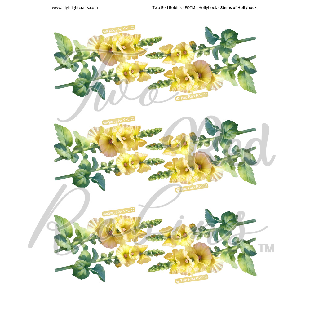 Two Red Robins Stems of Hollyhock Reflections Download 6