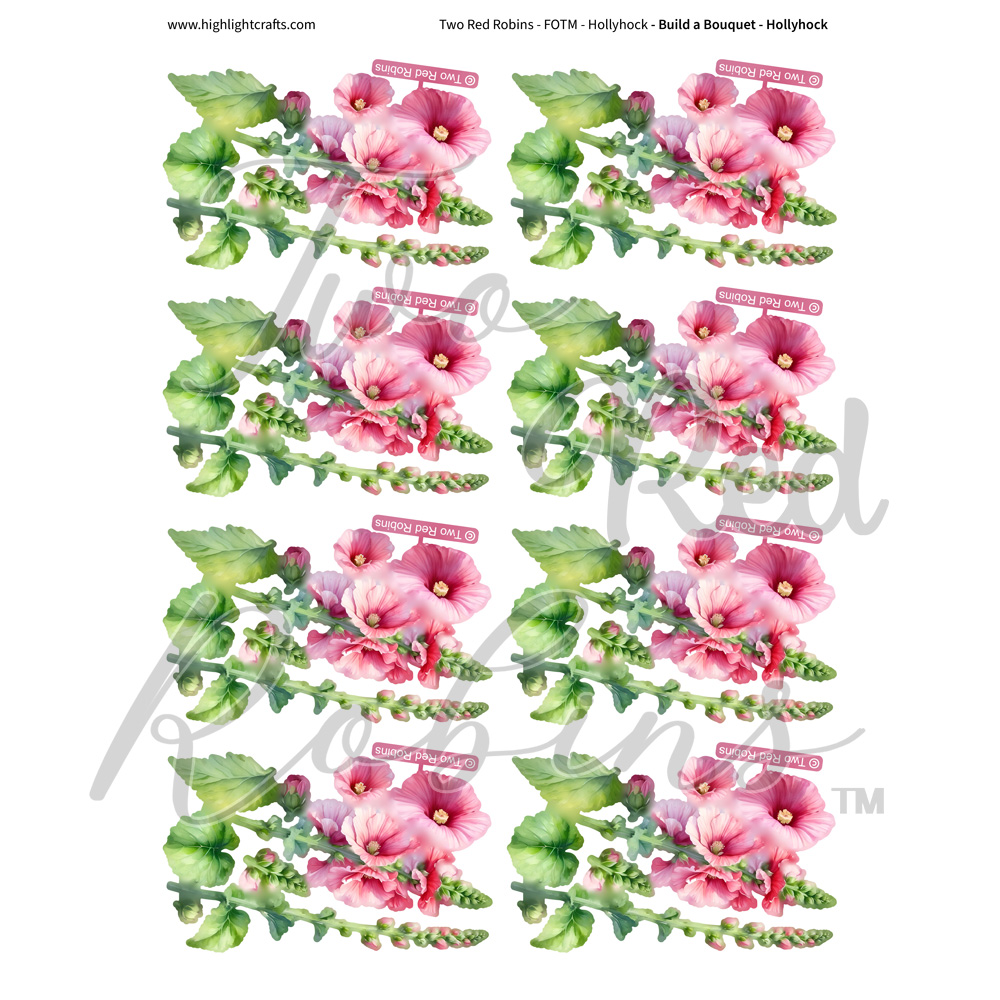 Two Red Robins Build a Bouquet Hollyhock Reflections Download 1