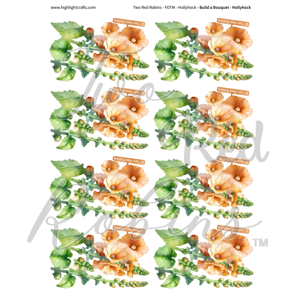Two Red Robins Build a Bouquet Hollyhock Reflections Download 5