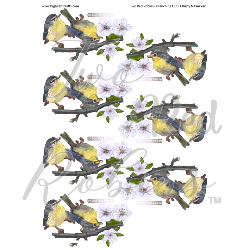 Two Red Robins Chirpy & Cracker Reflections Download 1