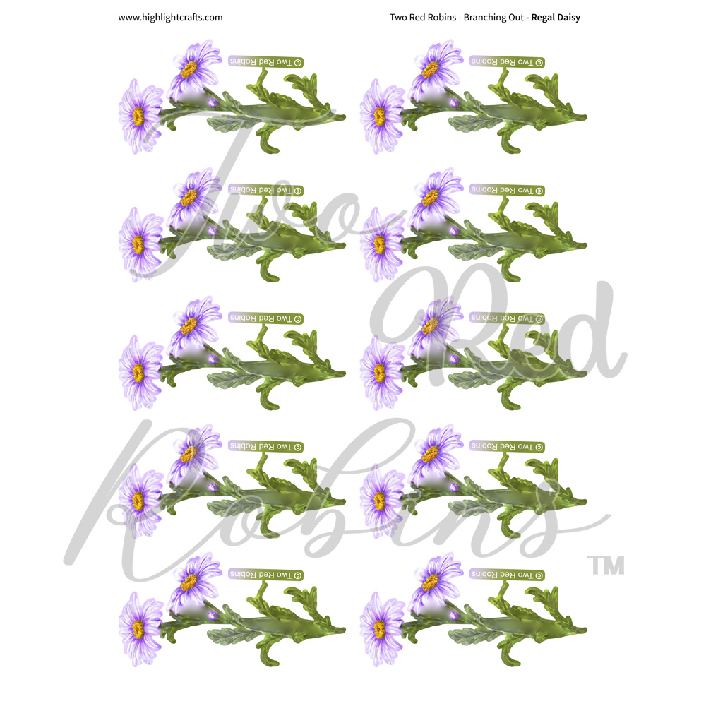 Two Red Robins Regal Daisy Reflections Download 2