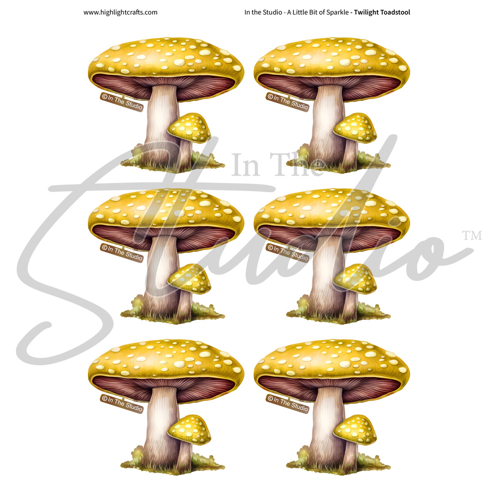 In The Studio Twilight Toadstool Reflections Download 3