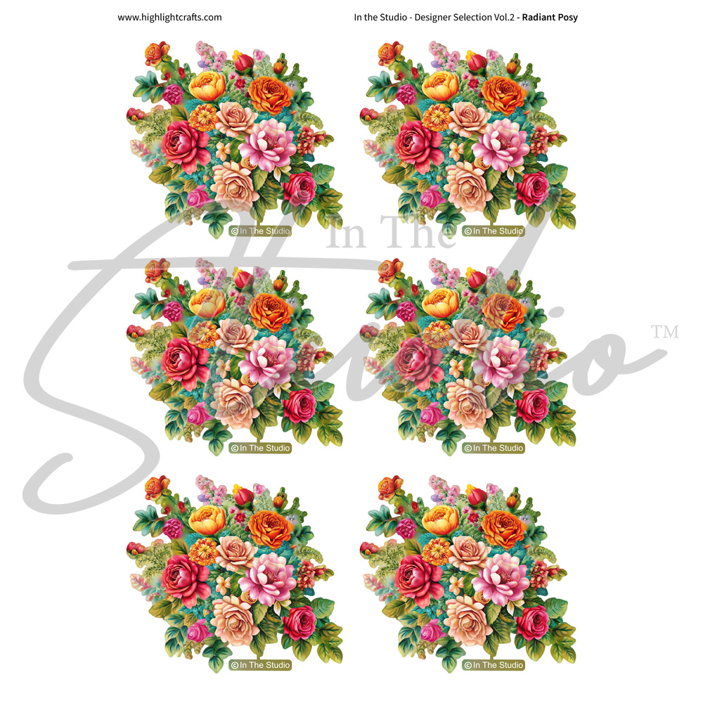 In The Studio Radiant Posy Reflections Download