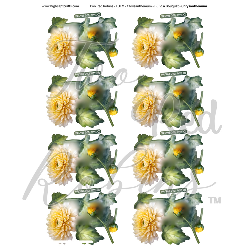 Two Red Robins Build a Bouquet Chrysanthemum Reflections Download 1