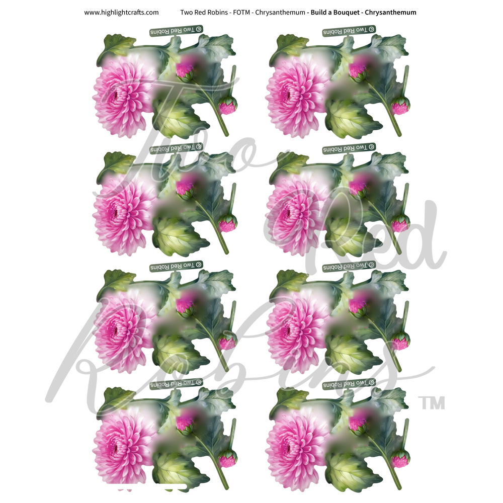 Two Red Robins Build a Bouquet Chrysanthemum Reflections Download 4