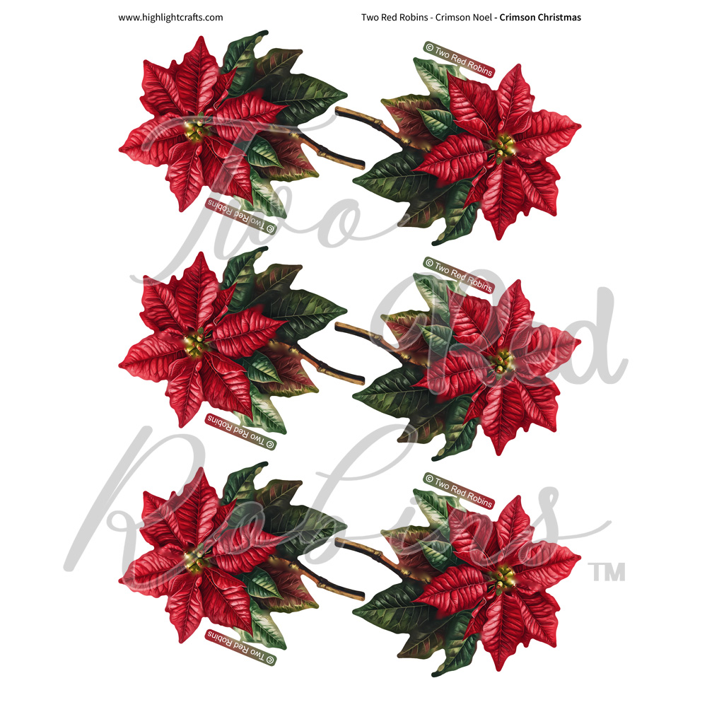 Two Red Robins Crimson Christmas Reflections Download 1