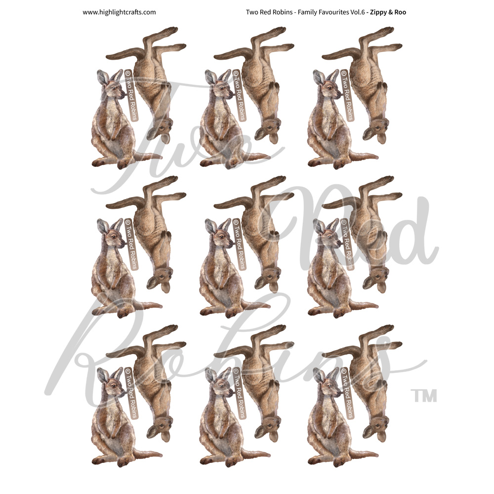 Two Red Robins Zippy & Roo Reflections Download