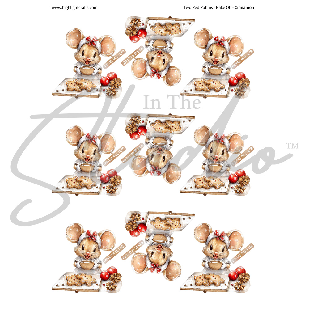 In The Studio Cinnamon Reflections Download
