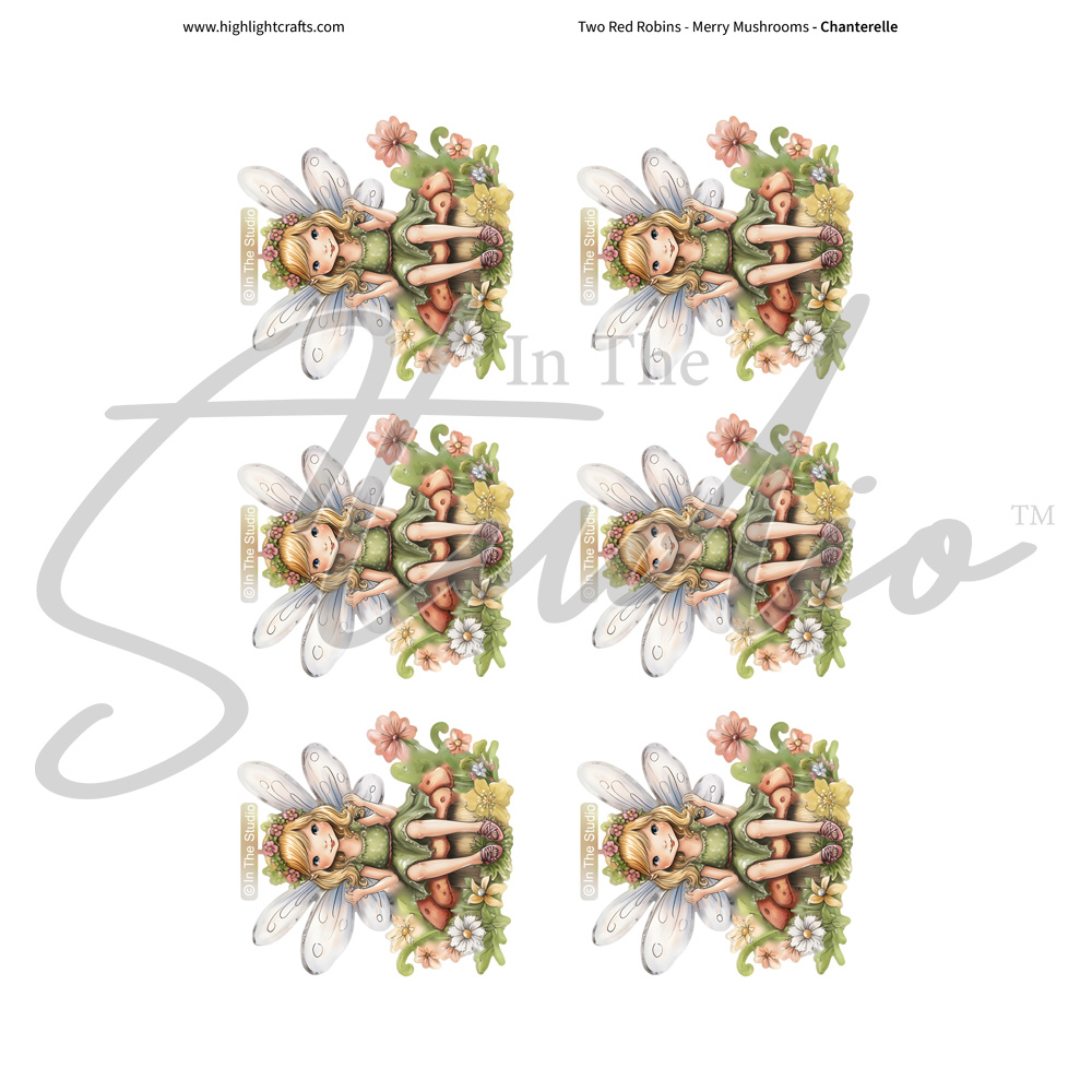 In The Studio Chanterelle Reflections Download