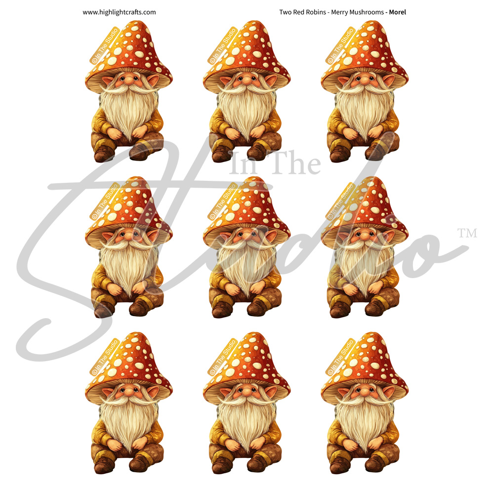 In The Studio Morel Reflections Download