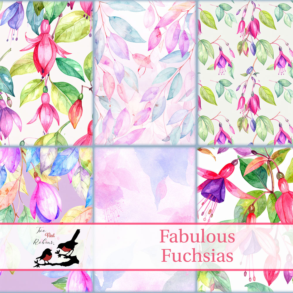 Two Red Robins Fabulous Fuchsias Backgrounds Download