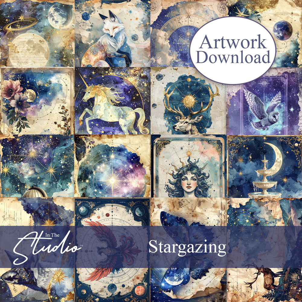 In The Studio Stargazing Rice Paper Download
