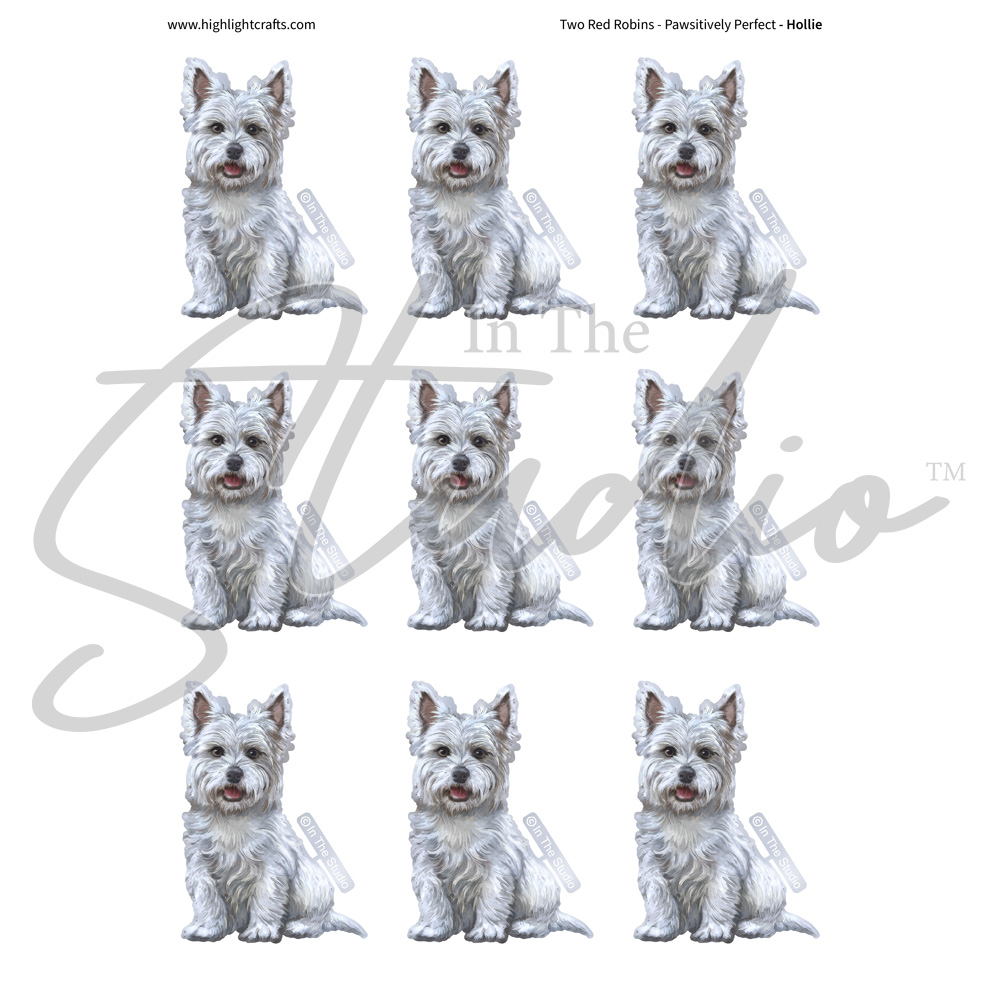 In The Studio Hollie Reflections Download 1