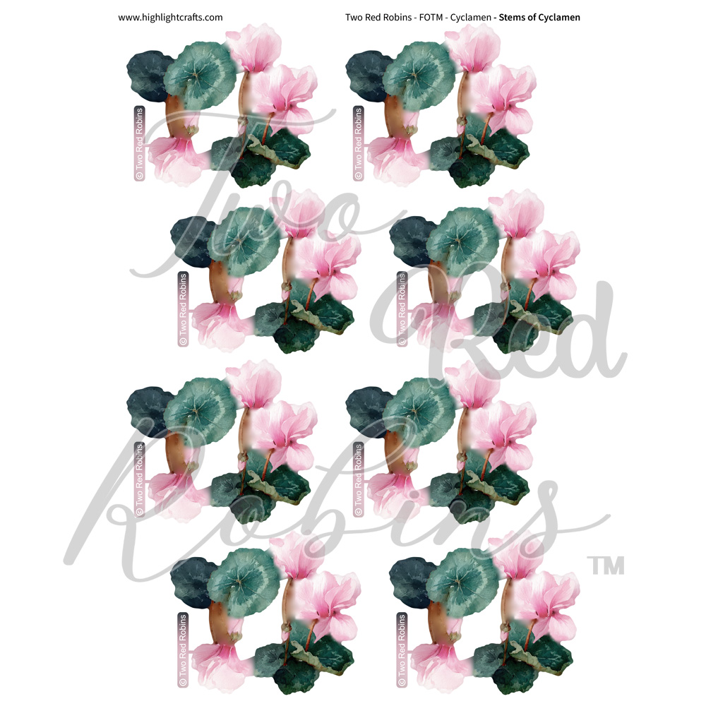 Two Red Robins Stems of Cyclamen Reflections Download 2