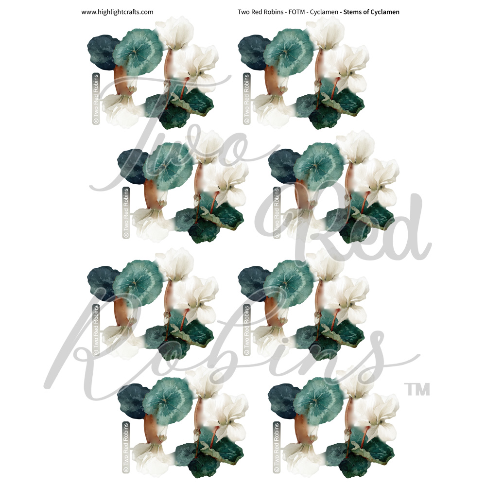 Two Red Robins Stems of Cyclamen Reflections Download 6