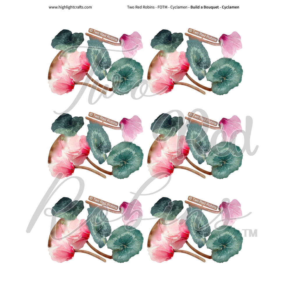 Two Red Robins Build a Bouquet Cyclamen Reflections Download 1