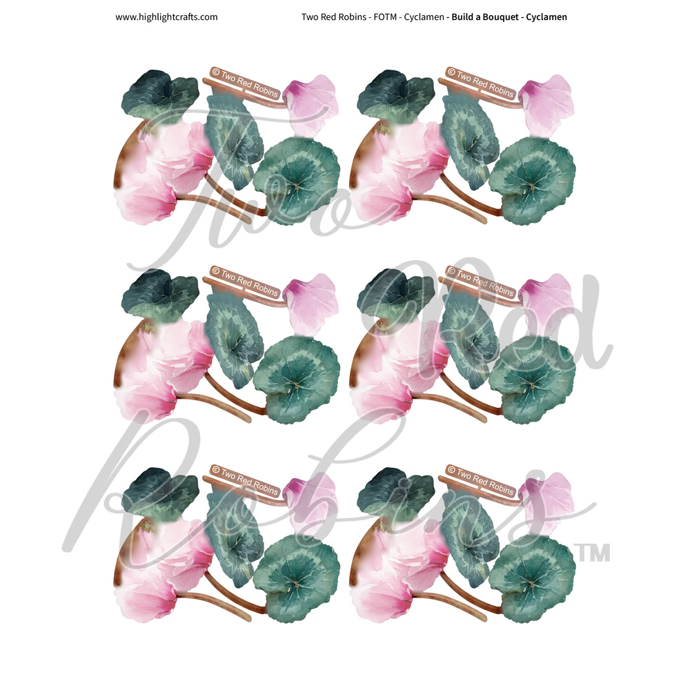 Two Red Robins Build a Bouquet Cyclamen Reflections Download 2