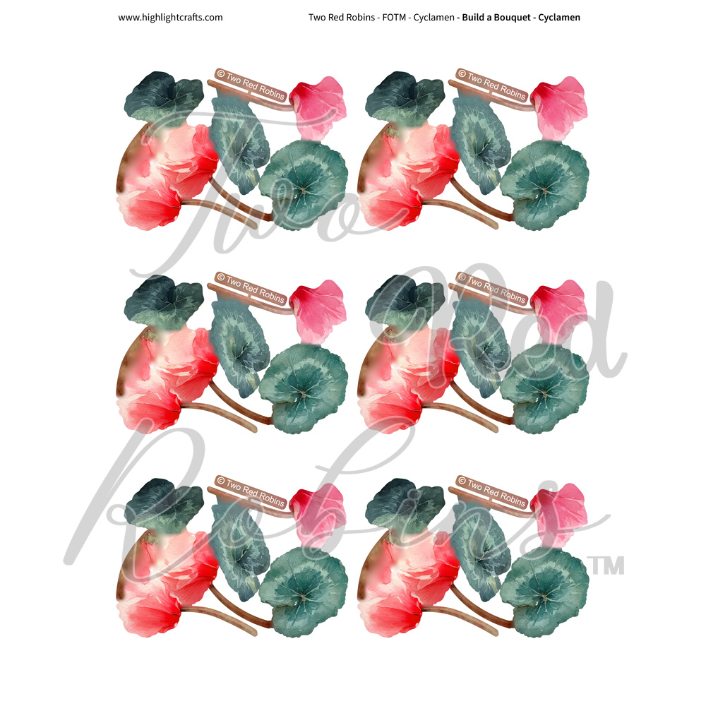 Two Red Robins Build a Bouquet Cyclamen Reflections Download 3